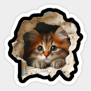 Irresistible cat emerging from a wall opening Sticker